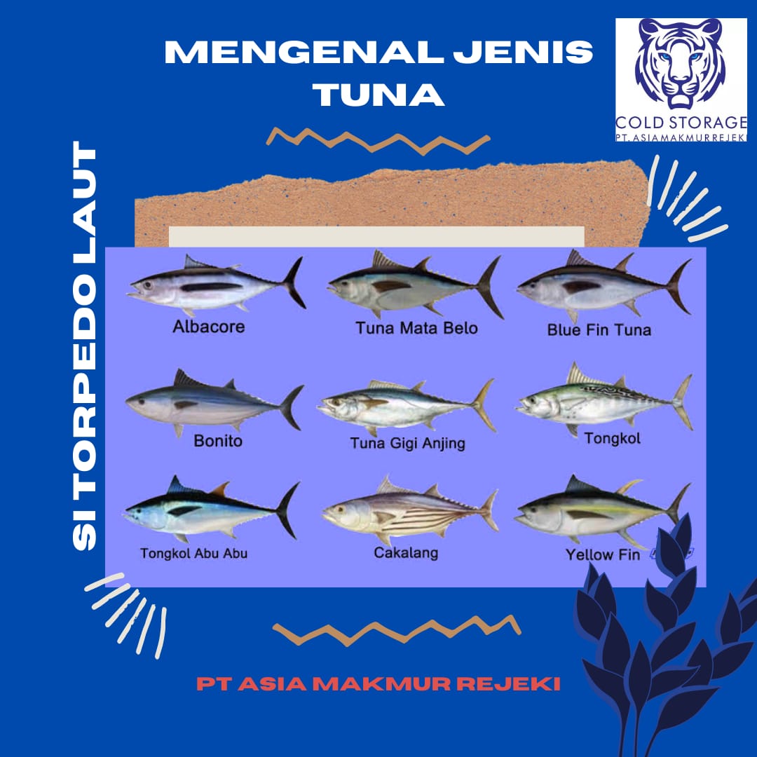 PT Asia Makmur Rejeki
