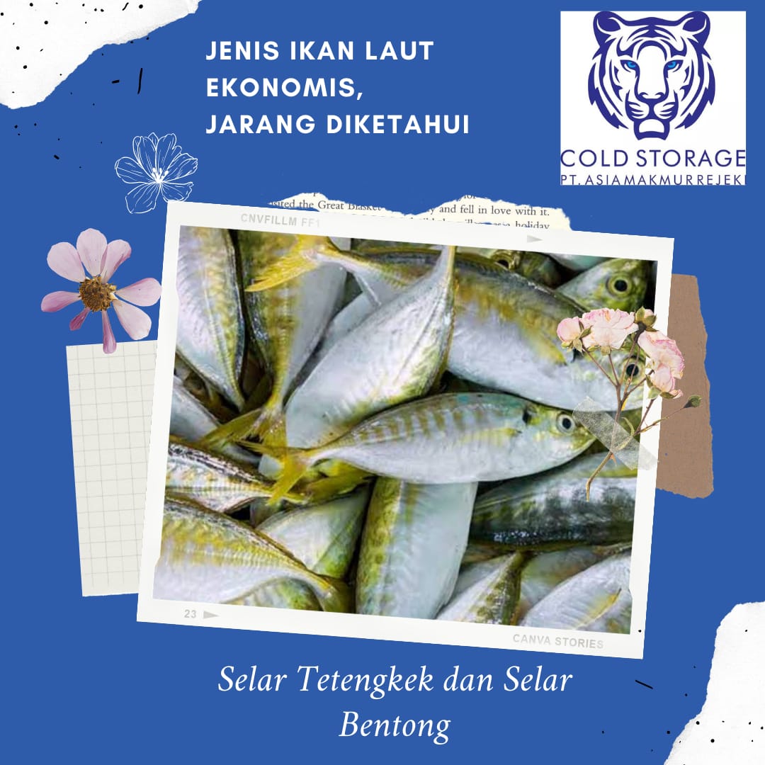 PT Asia Makmur Rejeki