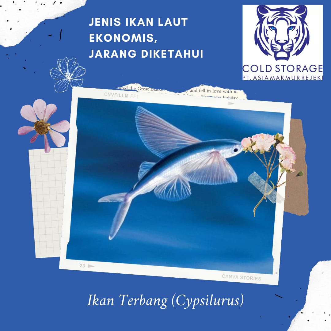 PT Asia Makmur Rejeki